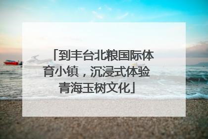 到丰台北粮国际体育小镇，沉浸式体验青海玉树文化
