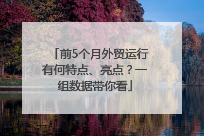 前5个月外贸运行有何特点、亮点？一组数据带你看