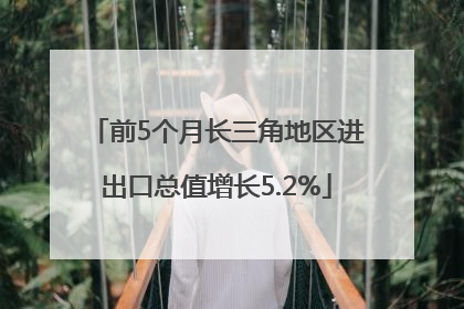 前5个月长三角地区进出口总值增长5.2%