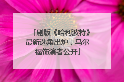 剧版《哈利波特》最新选角出炉，马尔福饰演者公开