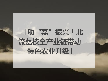 助“荔”振兴！北流荔枝全产业链带动特色农业升级