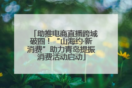 助推电商直播跨域破圈！“山海约·新消费”助力青岛提振消费活动启动