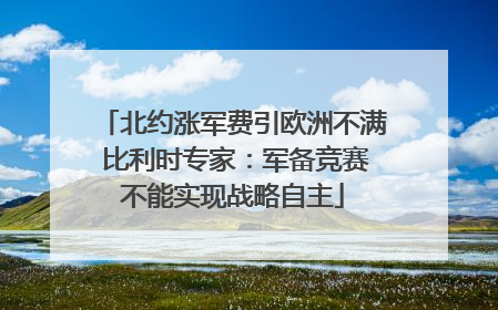 北约涨军费引欧洲不满 比利时专家：军备竞赛不能实现战略自主