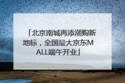 北京南城再添潮购新地标，全国最大京东MALL端午开业