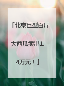 北京巨型百斤大西瓜卖出1.4万元！