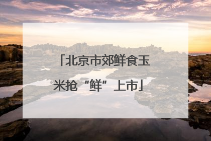 北京市郊鲜食玉米抢“鲜”上市