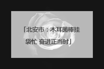 北安市：木耳菌棒挂袋忙 奋进正当时