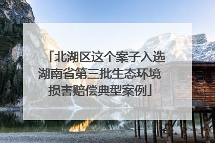 北湖区这个案子入选湖南省第三批生态环境损害赔偿典型案例