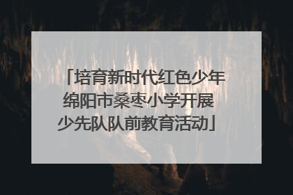 培育新时代红色少年 绵阳市桑枣小学开展少先队队前教育活动