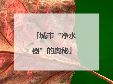 城市“净水器”的奥秘