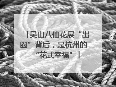 吴山八仙花展“出圈”背后，是杭州的“花式幸福”