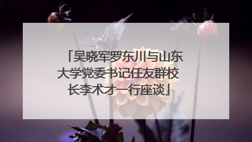 吴晓军罗东川与山东大学党委书记任友群校长李术才一行座谈