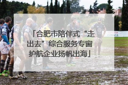 合肥市陪伴式“走出去”综合服务专窗护航企业扬帆出海