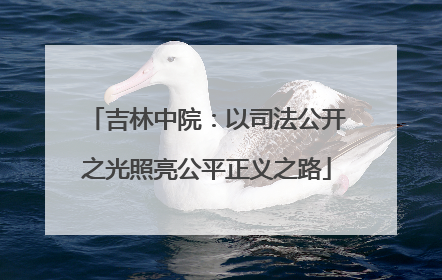 吉林中院：以司法公开之光照亮公平正义之路