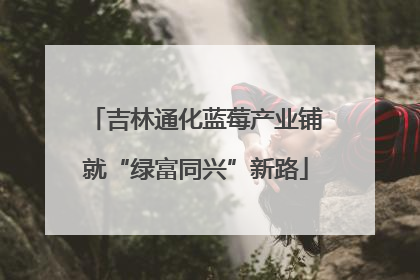吉林通化蓝莓产业铺就“绿富同兴”新路