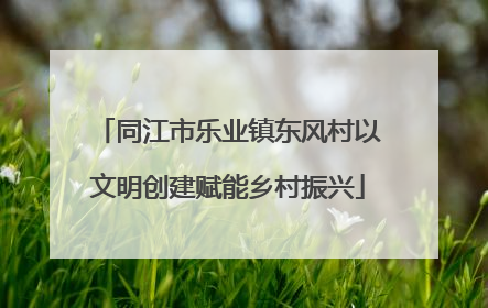 同江市乐业镇东风村以文明创建赋能乡村振兴