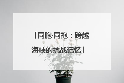 同胞·同袍：跨越海峡的抗战记忆