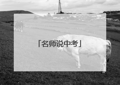 名师说中考