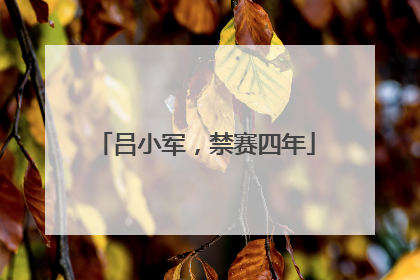 吕小军，禁赛四年