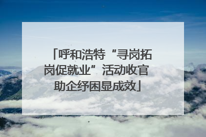 呼和浩特“寻岗拓岗促就业”活动收官 助企纾困显成效