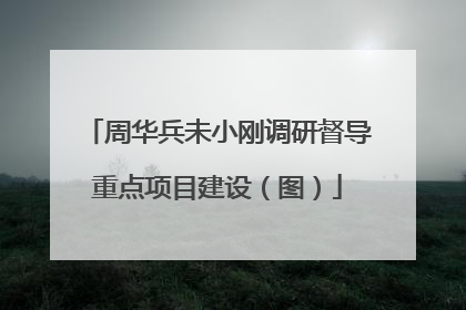 周华兵未小刚调研督导重点项目建设（图）