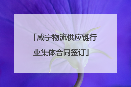 咸宁物流供应链行业集体合同签订