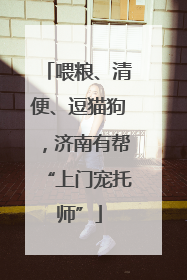 喂粮、清便、逗猫狗，济南有帮“上门宠托师”