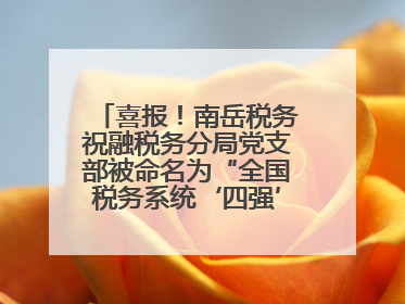 喜报！南岳税务祝融税务分局党支部被命名为“全国税务系统‘四强’党支部”