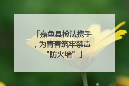 嘉鱼县检法携手，为青春筑牢禁毒“防火墙”