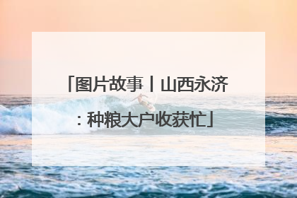 图片故事丨山西永济：种粮大户收获忙