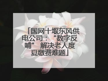 国网十堰东风供电公司：“数字反哺” 解决老人度夏缴费难题