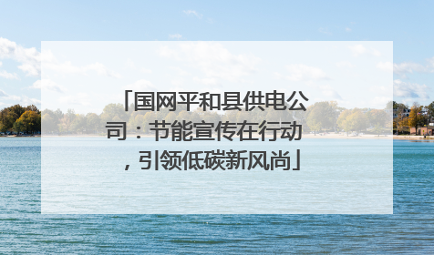 国网平和县供电公司：节能宣传在行动，引领低碳新风尚