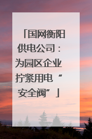 国网衡阳供电公司：为园区企业拧紧用电“安全阀”