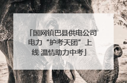 国网镇巴县供电公司 电力“护考天团”上线 温情助力中考