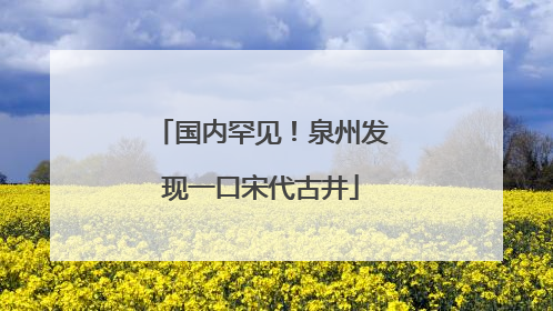 国内罕见！泉州发现一口宋代古井