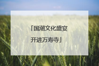 国潮文化盛宴开进万寿寺