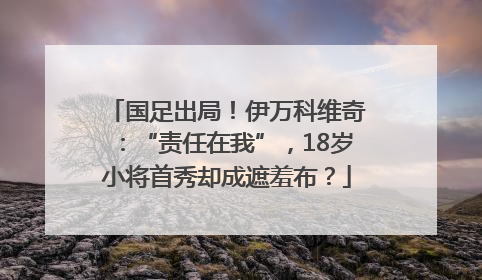 国足出局！伊万科维奇：“责任在我”，18岁小将首秀却成遮羞布？