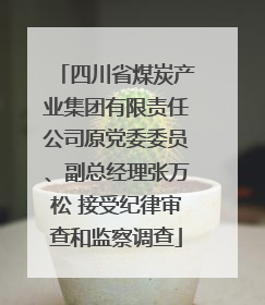 四川省煤炭产业集团有限责任公司原党委委员、副总经理张万松 接受纪律审查和监察调查