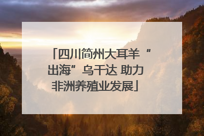 四川简州大耳羊“出海”乌干达 助力非洲养殖业发展