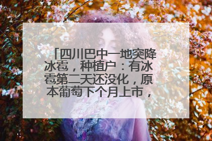 四川巴中一地突降冰雹，种植户：有冰雹第二天还没化，原本葡萄下个月上市，现在全被打落
