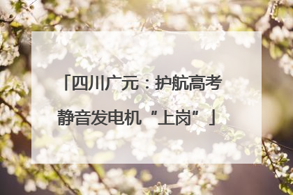 四川广元：护航高考 静音发电机“上岗”
