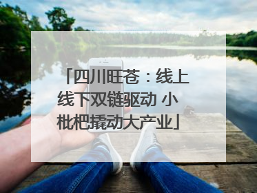 四川旺苍：线上线下双链驱动 小枇杷撬动大产业