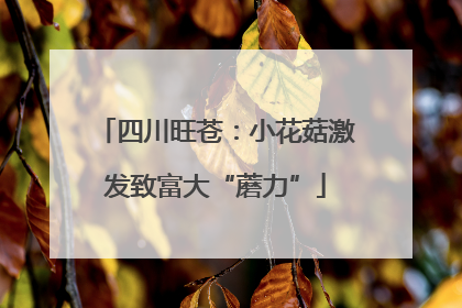 四川旺苍：小花菇激发致富大“蘑力”