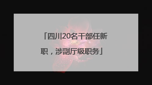 四川20名干部任新职，涉副厅级职务