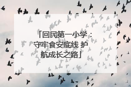 回民第一小学：守牢食安底线 护航成长之路
