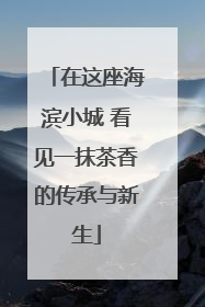 在这座海滨小城 看见一抹茶香的传承与新生