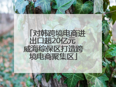 对韩跨境电商进出口超20亿元 威海综保区打造跨境电商聚集区