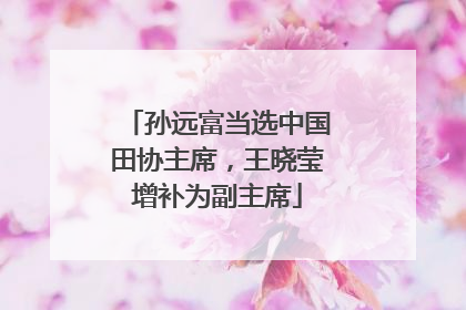 孙远富当选中国田协主席，王晓莹增补为副主席
