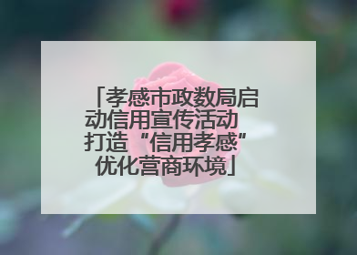 孝感市政数局启动信用宣传活动 打造“信用孝感”优化营商环境