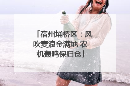 宿州埇桥区：风吹麦浪金满地 农机轰鸣保归仓